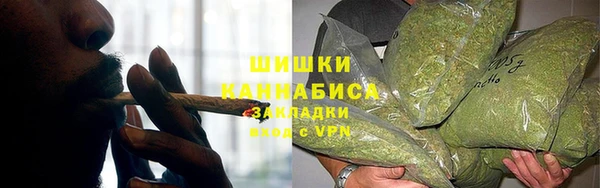 шишки Алзамай