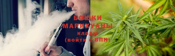 шишки Алзамай