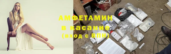 шишки Алзамай
