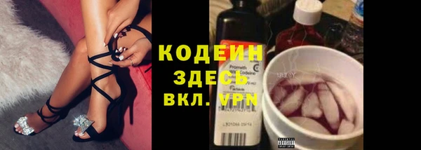 шишки Алзамай