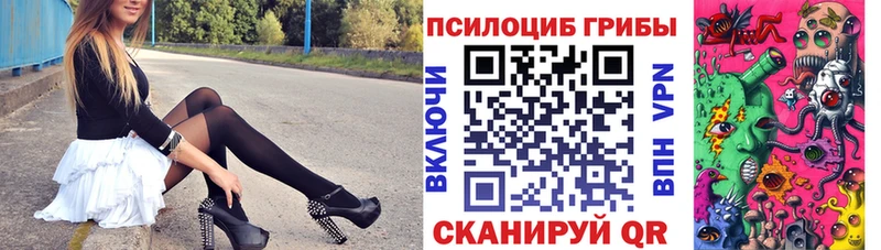 MEGA как войти  где купить наркоту  darknet Telegram  Галлюциногенные грибы Cubensis  Петровск-Забайкальский 